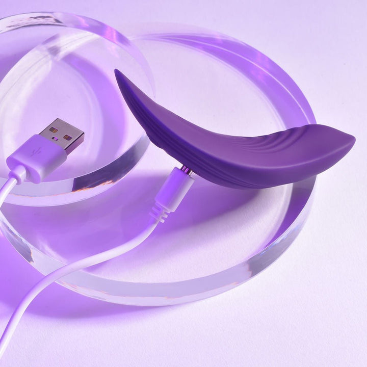 Playboy Pleasure OUR LITTLE SECRET - Purple USB Rechargeable Panty Vibrator with Wireless Remote Control – Sex toys NZ by Naughtyhut. Discreet delivery nationwide.