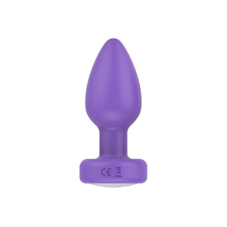 Buy Pr17: VIBRATING PLUG W/ REMOTE – Naughtyhut NZ sex toys online. Discreet delivery & top brands.