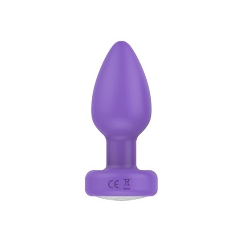 Pr17: VIBRATING PLUG W/ REMOTE – Sex toys NZ by Naughtyhut. Discreet delivery nationwide.