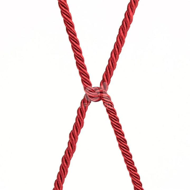 Two red ropes crossed in an X against a white background