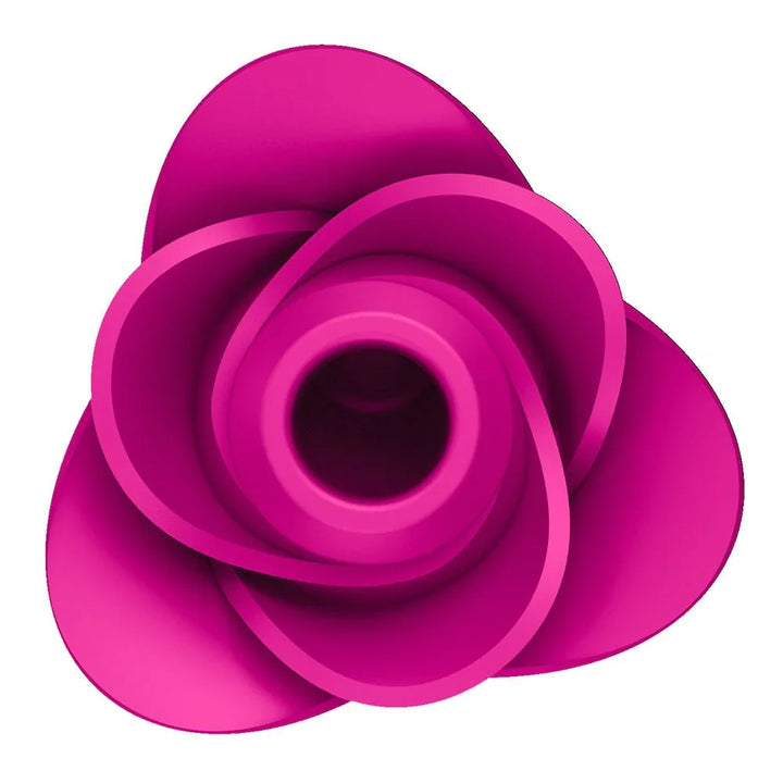 Satisfyer Pro 2 Modern Blossom - Air Pulse Rose Stimulator in Pink, front view