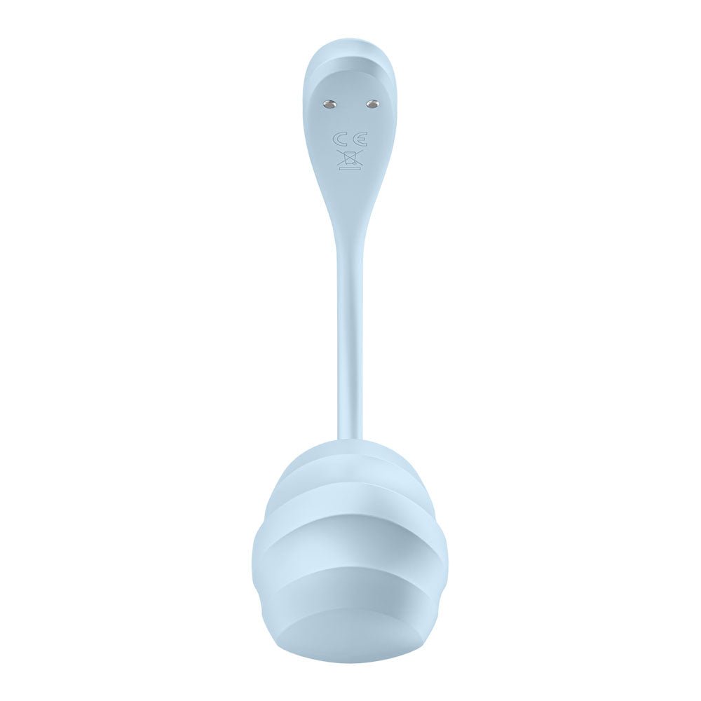 Satisfyer Smooth Petal - Light Blue - Light Blue USB Rechargeable Wearable Stimulator with App Control – Sex toys NZ by Naughtyhut. Discreet delivery nationwide.