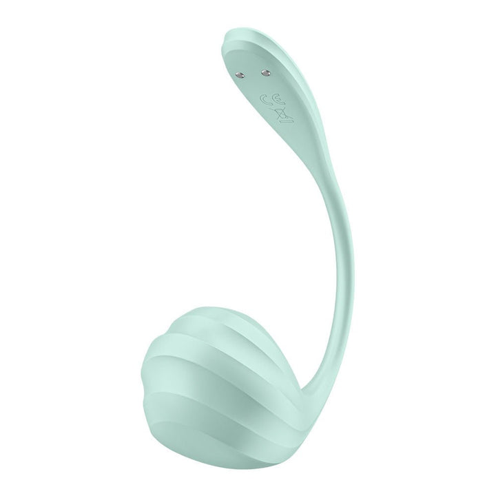 Satisfyer Smooth Petal - Mint - Mint USB Rechargeable Wearable Stimulator with App Control – Sex toys NZ by Naughtyhut. Discreet delivery nationwide.