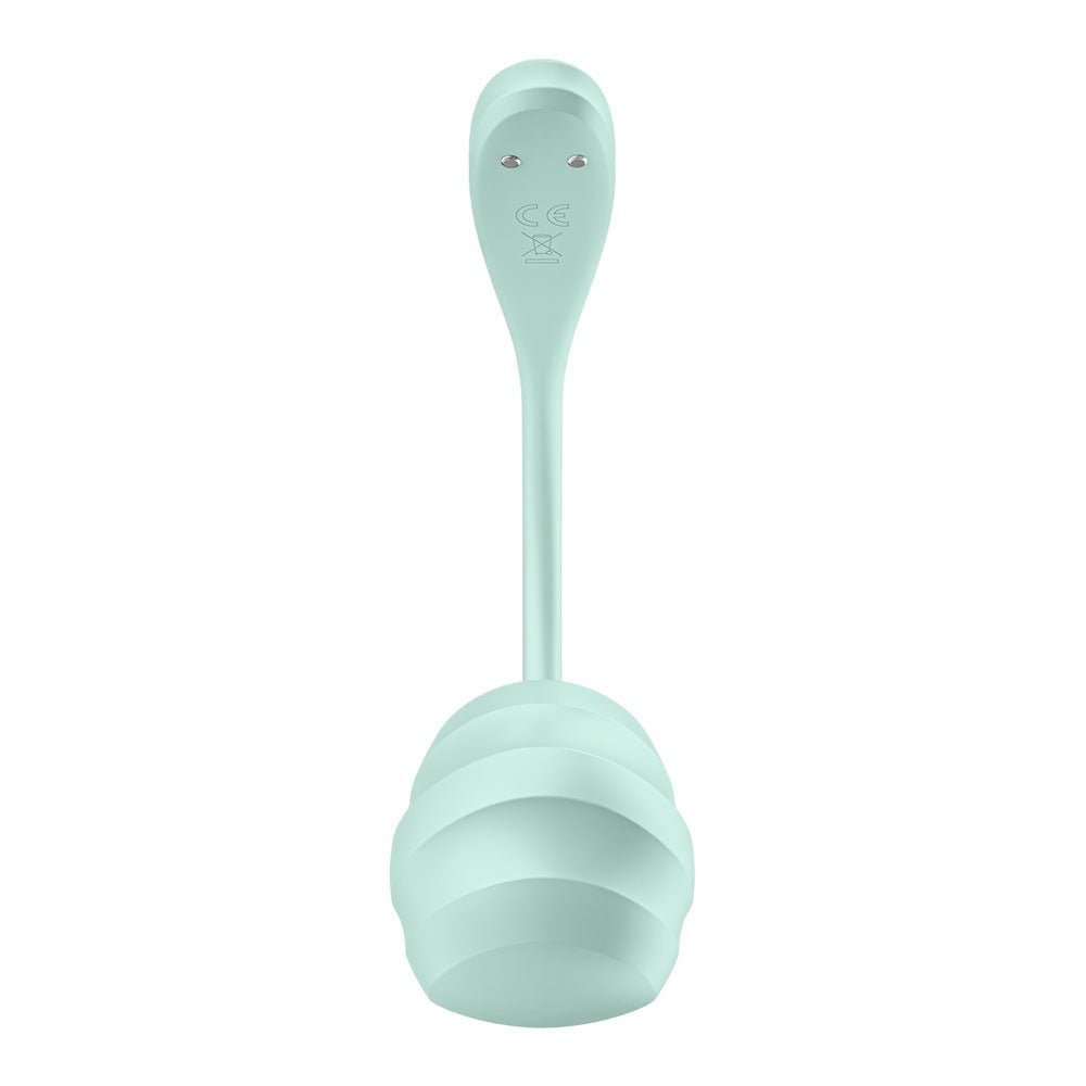Buy Satisfyer Smooth Petal - Mint - Mint USB Rechargeable Wearable Stimulator with App Control – Naughtyhut NZ sex toys online. Discreet delivery & top brands.