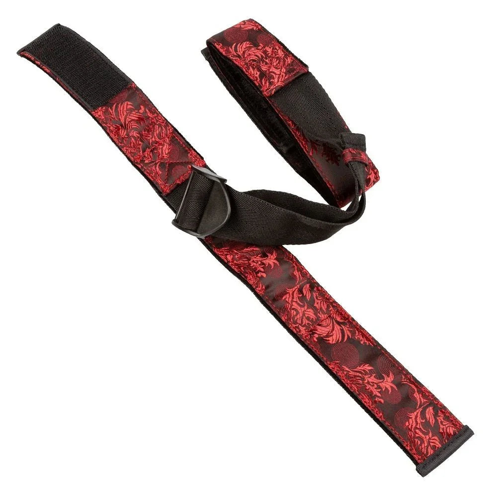 Scandal Bicep Restraint unrolled, showing the full strap length