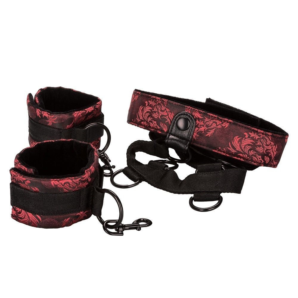 Scandal Collar Body Restraint Red – Sex toys NZ by Naughtyhut. Discreet delivery nationwide.