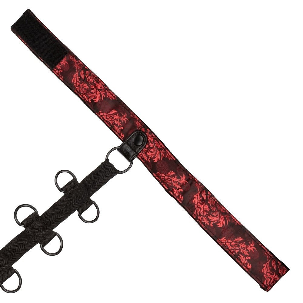 Scandal Collar Body Restraint Red – Sex toys NZ by Naughtyhut. Discreet delivery nationwide.