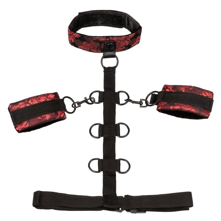 Scandal Collar Body Restraint Red – Sex toys NZ by Naughtyhut. Discreet delivery nationwide.