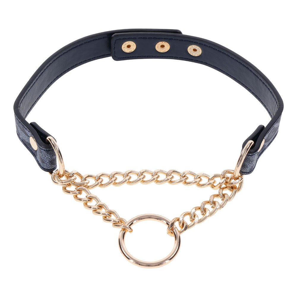 Buy Sex & Mischief Cougar Day Collar - Navy Blue/Gold Collar – Naughtyhut NZ sex toys online. Discreet delivery & top brands.