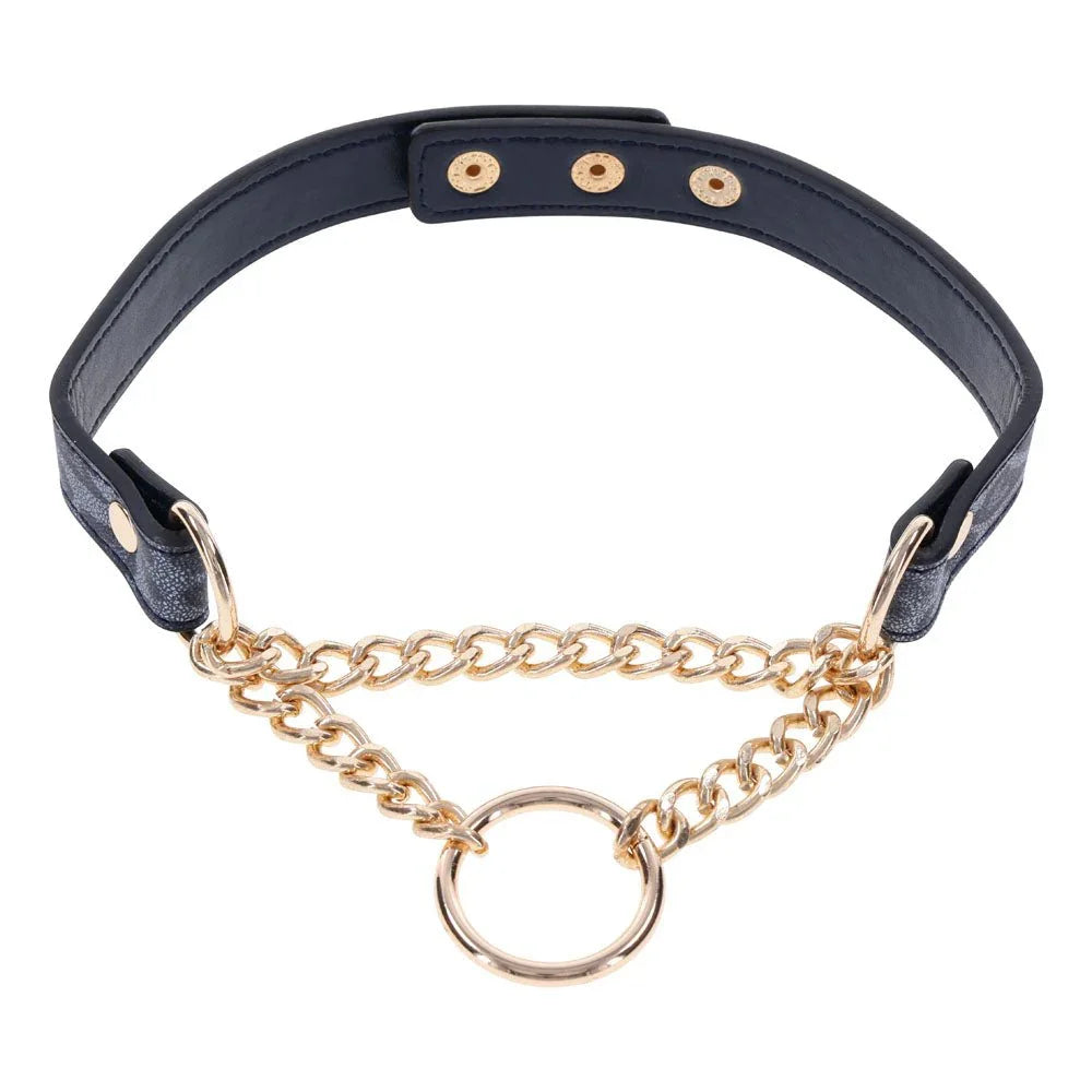 Sex & Mischief Cougar Day Collar - Navy Blue/Gold Collar – Sex toys NZ by Naughtyhut. Discreet delivery nationwide.