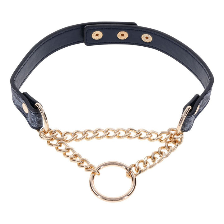 Sex & Mischief Cougar Day Collar - Navy Blue/Gold Collar – Sex toys NZ by Naughtyhut. Discreet delivery nationwide.