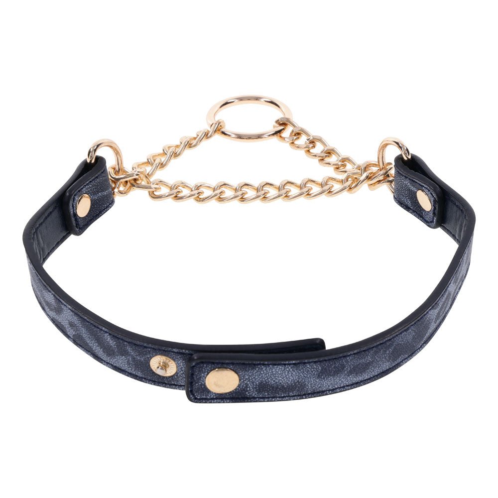 Buy Sex & Mischief Cougar Day Collar - Navy Blue/Gold Collar – Naughtyhut NZ sex toys online. Discreet delivery & top brands.