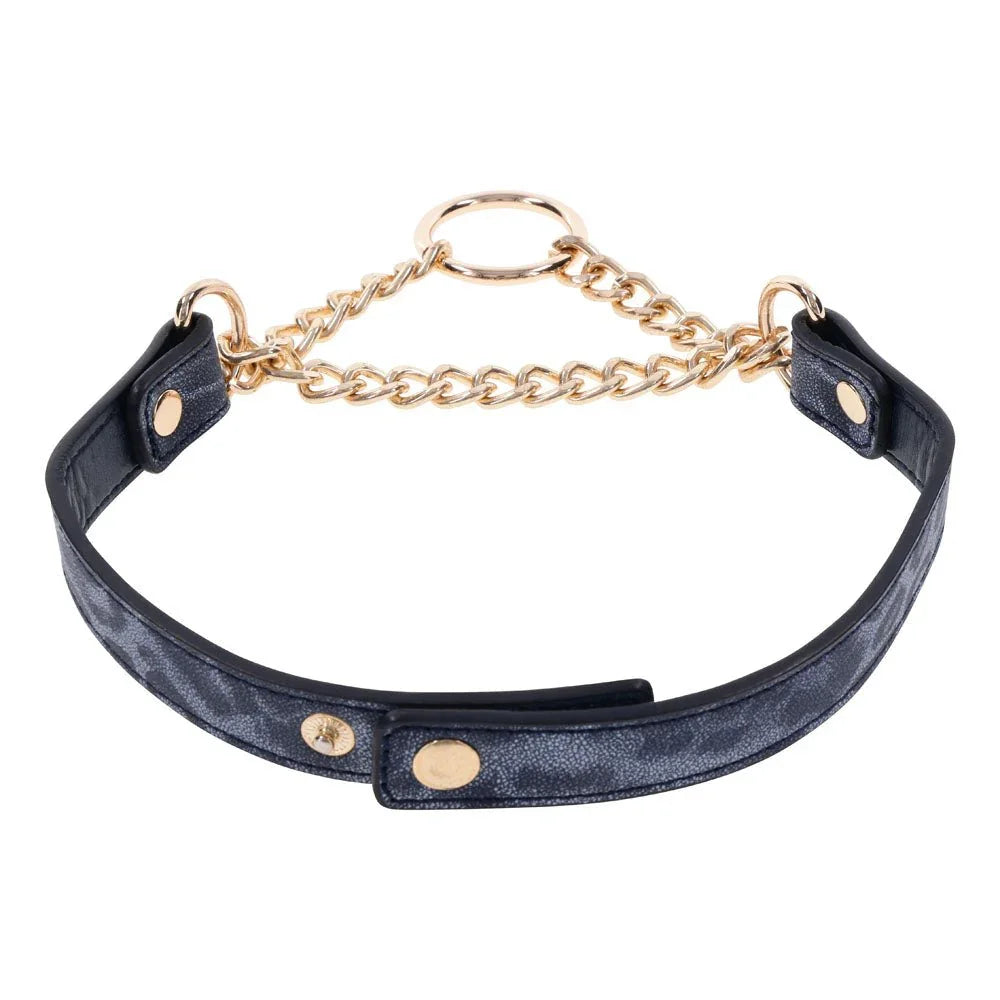 Sex & Mischief Cougar Day Collar - Navy Blue/Gold Collar – Sex toys NZ by Naughtyhut. Discreet delivery nationwide.