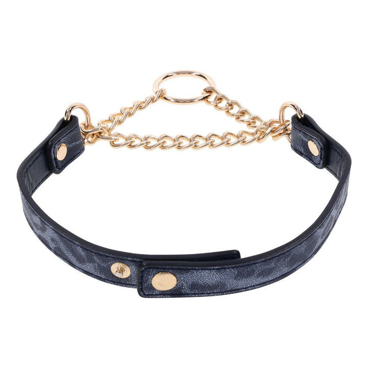 Sex & Mischief Cougar Day Collar - Navy Blue/Gold Collar – Sex toys NZ by Naughtyhut. Discreet delivery nationwide.