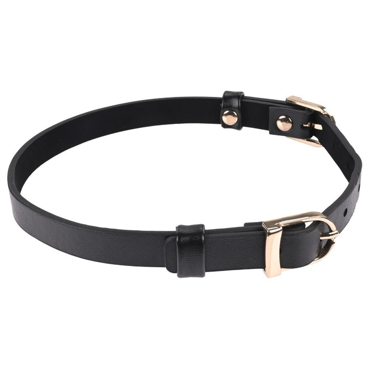 Sex & Mischief Double Buckle Day Collar - Black Collar – Sex toys NZ by Naughtyhut. Discreet delivery nationwide.