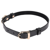 Buy Sex & Mischief Double Buckle Day Collar - Black Collar – Naughtyhut NZ sex toys online. Discreet delivery & top brands.