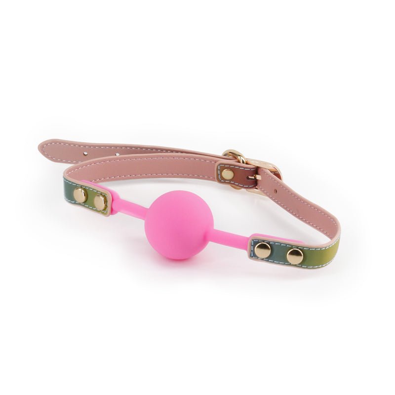 Buy Spectra Bondage Ballgag - Rainbow - Rainbow Mouth Restraint – Naughtyhut NZ sex toys online. Discreet delivery & top brands.