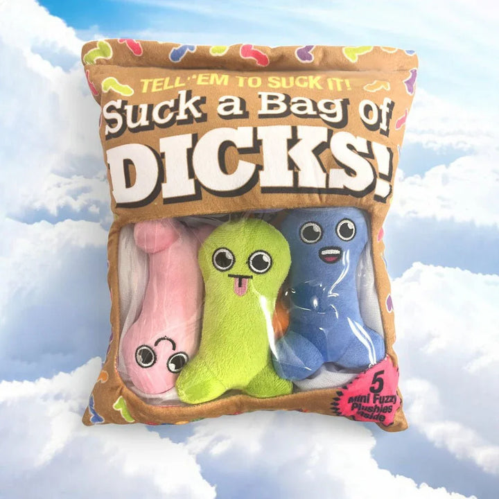 Suck A Bag Of Dicks plush pillow pack pictured against a blue sky with clouds
