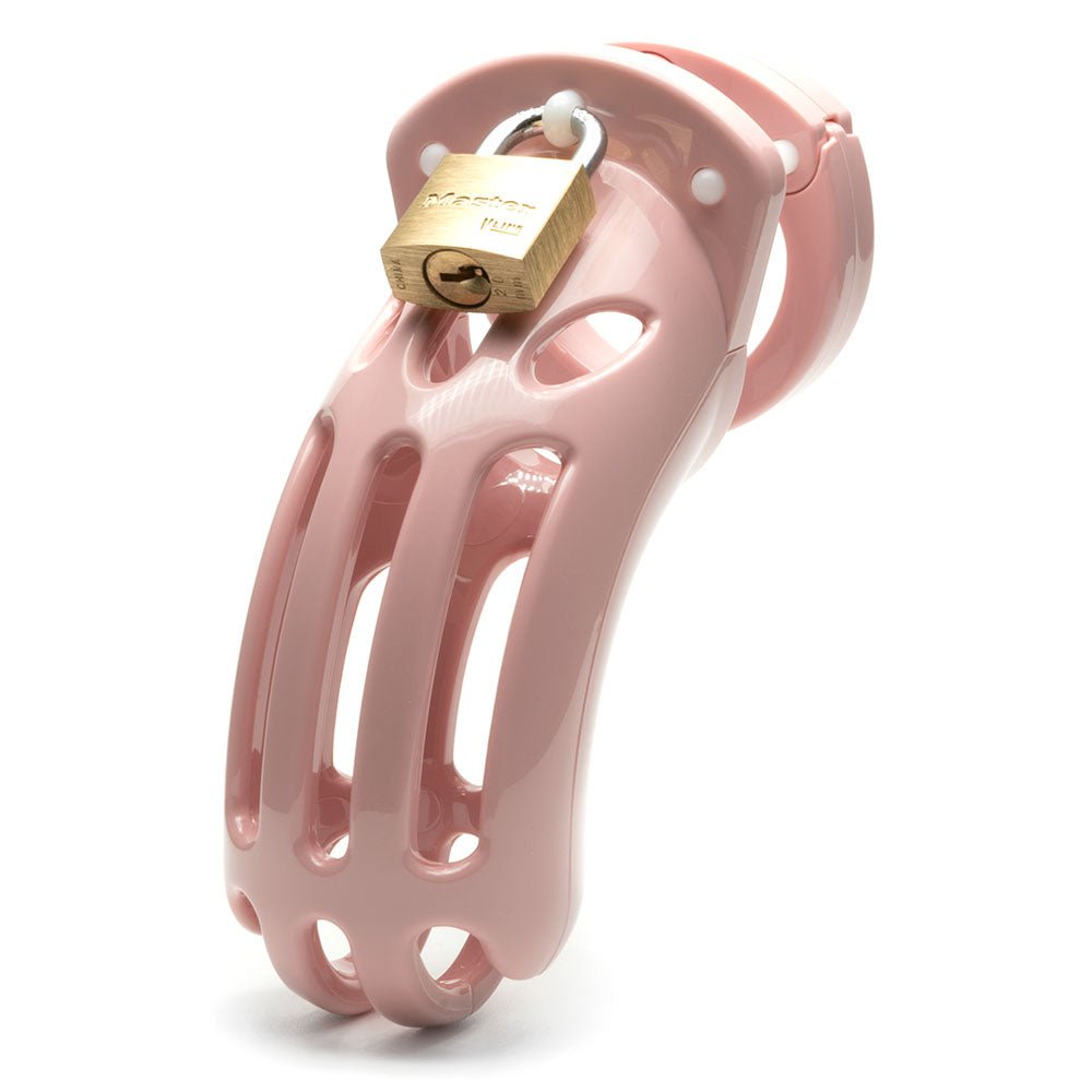 The Curve Chastity Cock Cage Kit - Pink - Pink 3.75 Inch Cock Cage Kit – Sex toys NZ by Naughtyhut. Discreet delivery nationwide.
