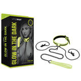 Buy WhipSmart Glow In The Dark Collar with Nipple Clips & Leash - Glow in Dark Restraint – Naughtyhut NZ sex toys online. Discreet delivery & top brands.